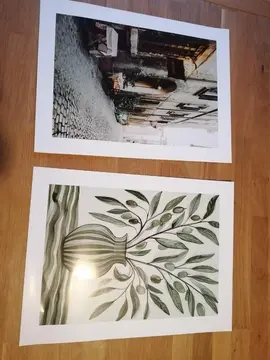 Lot 2 affiches 30*40 cm