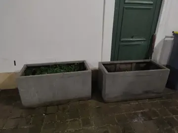 jardinières béton lissé