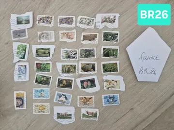 Lot de timbres français BR26