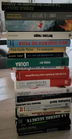 lot de 19 livres