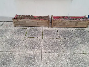 Bacs pour fleurs en bois