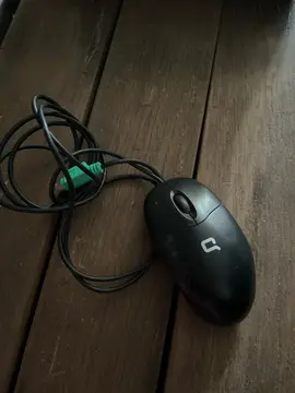 souris pour ordinateur