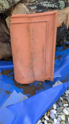 Environ 100 tuiles romanes .