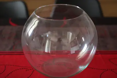 bocal à poisson rouge