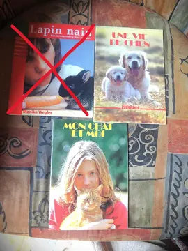 petits livres de conseils / chien chat à l'unité ou les 2