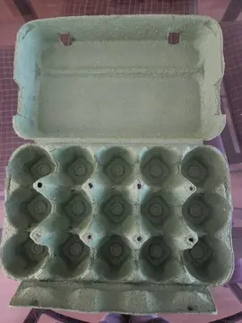 boîte œuf