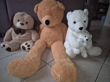 ours en peluche