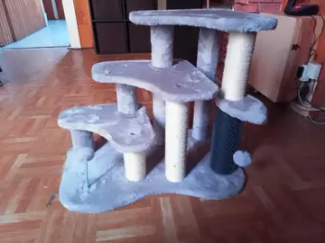 arbre à chat
