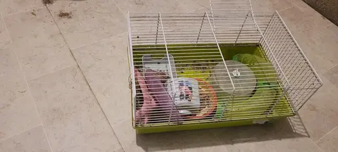 Cage à hamster ou gerbille