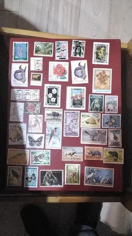 donne timbres annimaux et fleurs 1lot par envoie