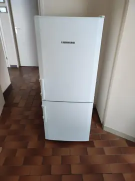 frigo Liebherr
