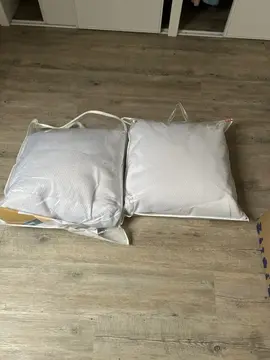 2 oreillers 65 x65 cm