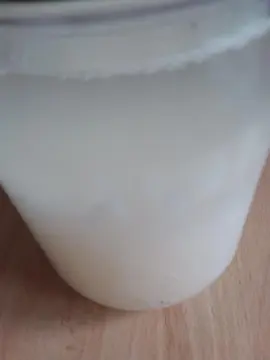 kefir