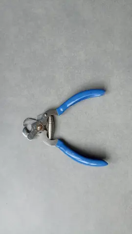 Pince à griffes pour chat