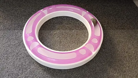 Jeu circuit ball pour chat