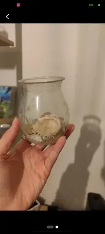 petit verre avec décorations à l'intérieur