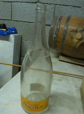 ancienne bouteille champagne 150 cl