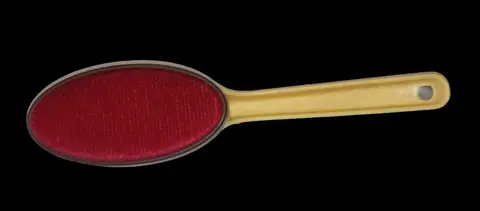 🧼🧥 Brosse vêtements