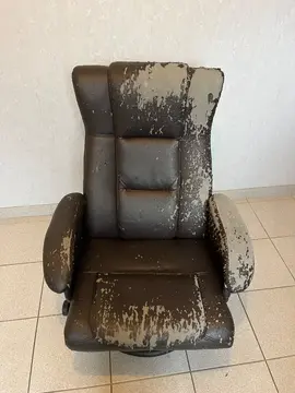fauteuil de salon