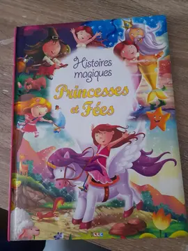 livre princesses et fées