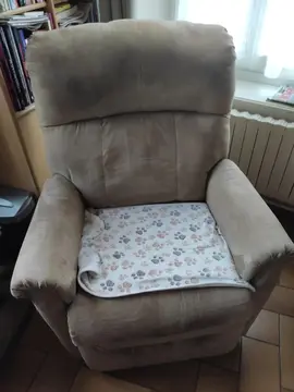 fauteuil releveur électrique