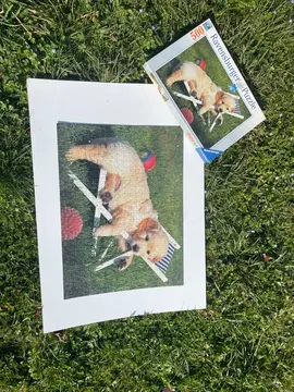 puzzle 500 pièces collé