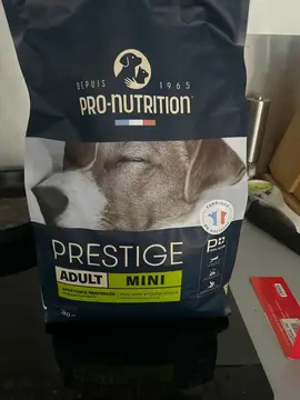 croquettes chien paquet pratiquement neuf