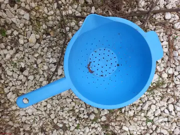 passoire en plastique