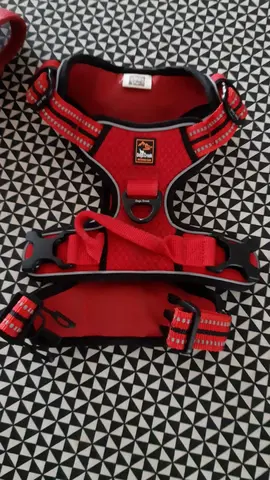 harnais pour petits chiens