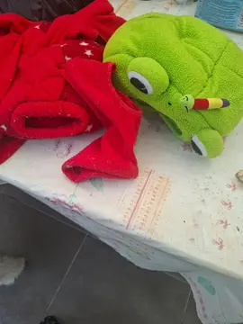 Dodos et laisses petit animal