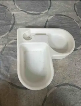 gamelle chat ou chien