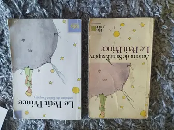 livre le petit prince