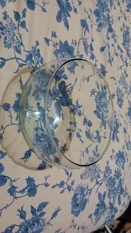 pot en verre pour cactus