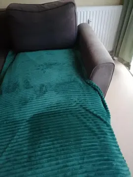 Donne un canapé relaxe pratique pour regarder la télé ou s'allonger, très bon état.