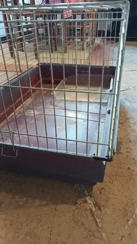 cage lapin ou cochon d'inde