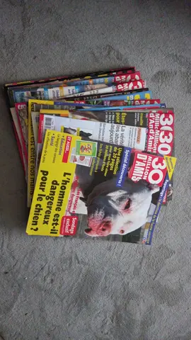 lot magazines