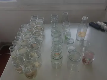 Bocaux et bouteilles en verre