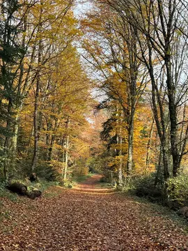 objets pour vide-grenier