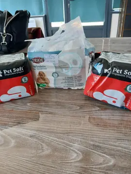 couches pour petite chienne