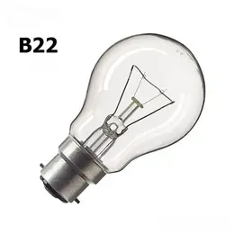 2 ampoules 110V / 100W culot B22