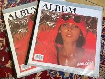 Deux albums pour photos ou cartes postales