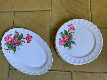 1 plat et 6 assiettes en plastique mélamine