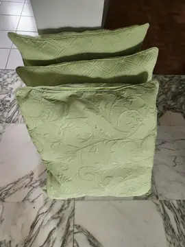 coussins verts