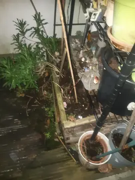 donne jardinière à reparer