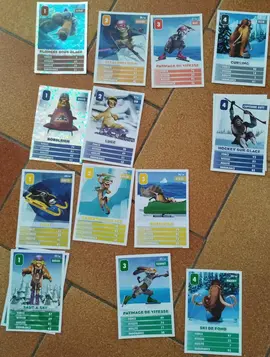 DON : Cartes - L'âge de glace - Les courses arctiques