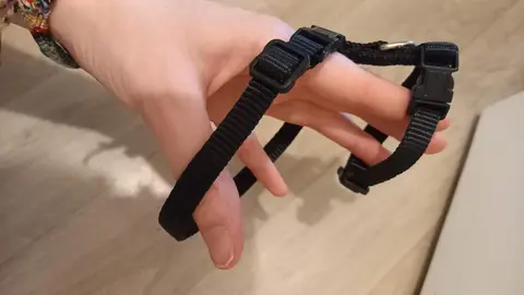 Petit Harnais neuf pour petit animal ou chaton