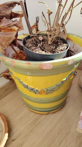 pot de fleur en porcelaine