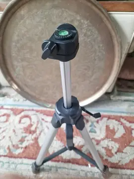 pied photo niveau tige perdue