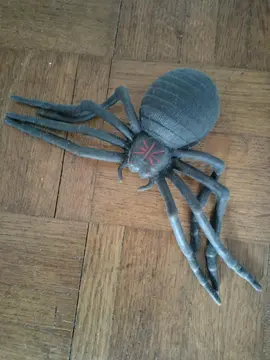 Fausse araignée en silicone