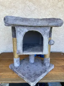 Arbre à chat et dodo coquille